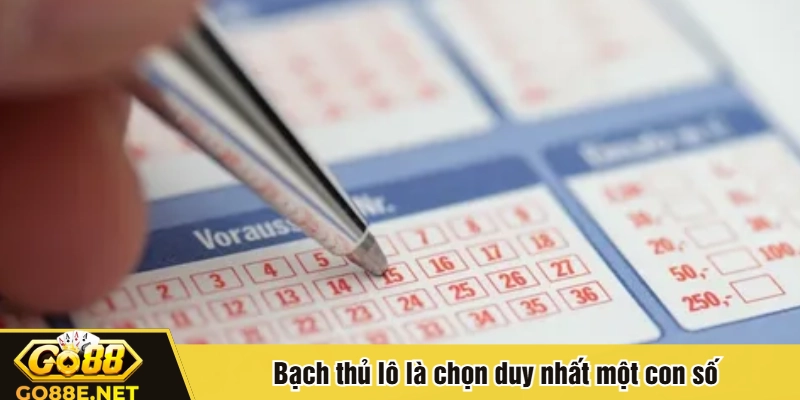 Bạch thủ lô là chọn duy nhất một con số
