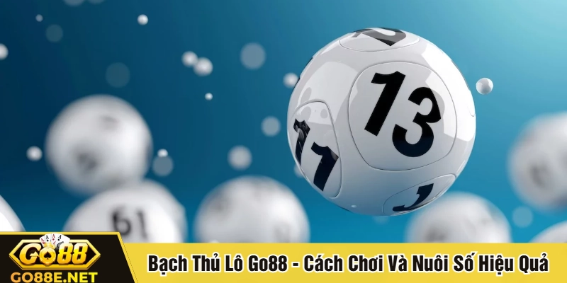 Bạch thủ lô