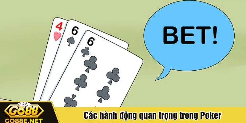 Các hành động quan trọng trong Poker