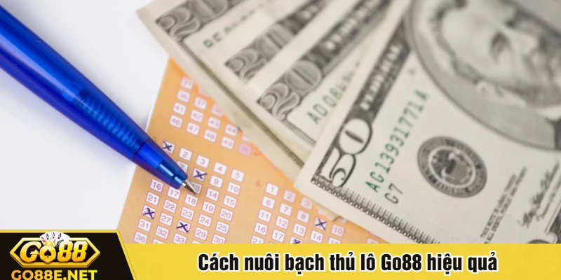 Cách nuôi bạch thủ lô Go88 hiệu quả