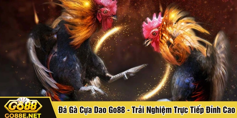 Đá gà cựa dao Go88