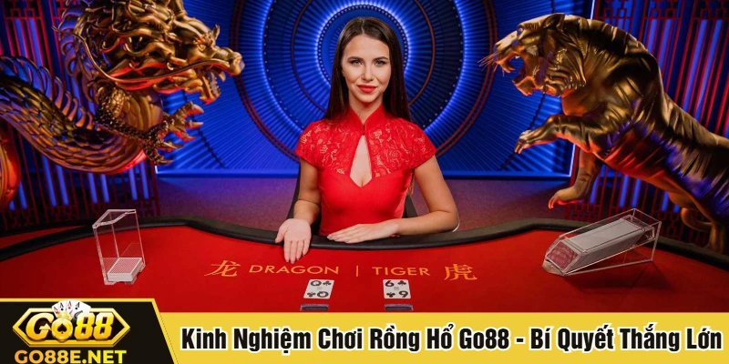 Kinh nghiệm chơi Rồng Hổ