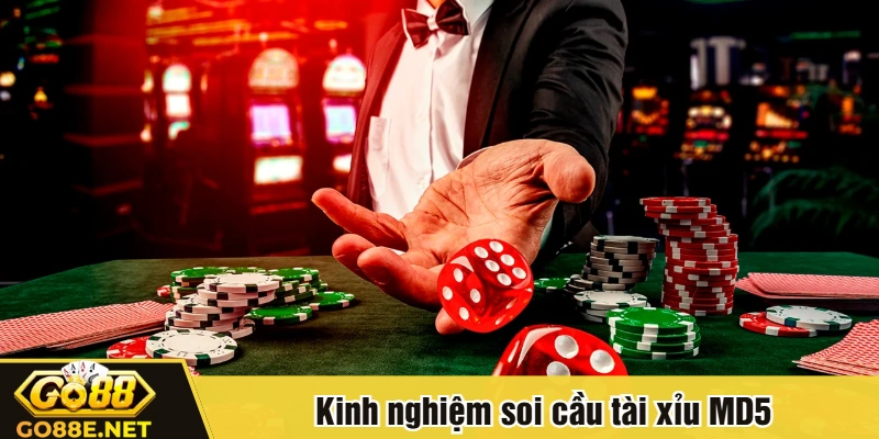 Kinh nghiệm soi cầu tài xỉu MD5