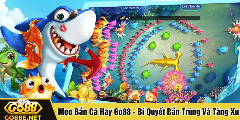 Mẹo bắn cá hay