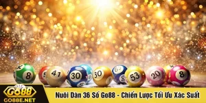 Nuôi dàn 36 số