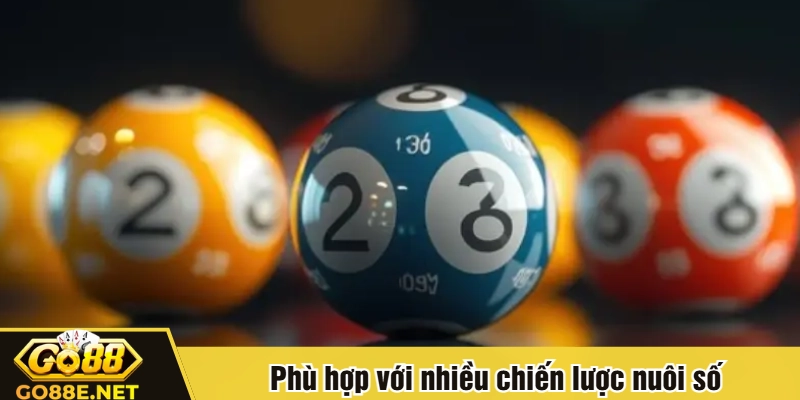 Phù hợp với nhiều chiến lược nuôi số