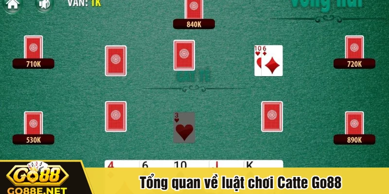 Tổng quan về luật chơi Catte Go88
