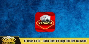 xì dách là gì