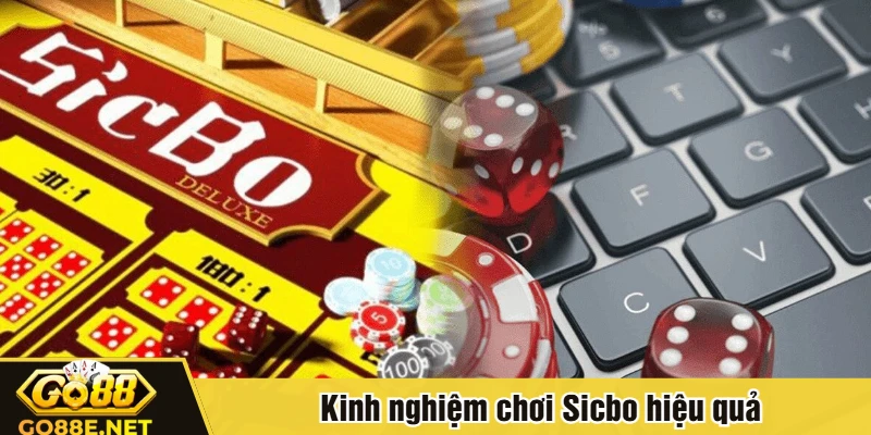 Kinh nghiệm chơi sicbo hiệu quả